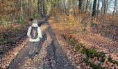 Tour Wandern Bierbeek - Biebeek variante - Photo 3