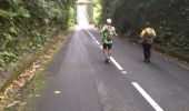 Tocht Stappen Grand'Rivière - fonds pautiche beausejour - Photo 5