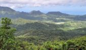 Tour Wandern Le Morne-Rouge - Morne Jacob via Morne-Rouge - Photo 16