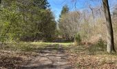 Randonnée Marche Compiègne - en forêt de Compiègne_48_sur les Routes de la Mariolle et du Grand Veneur - Photo 14