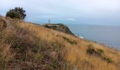 Trail Walking Port-Vendres - anse des paulliles - cap bear via les vignes retour par le chemin côtier - Photo 20