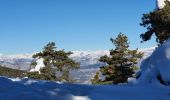 Randonnée Raquettes à neige Gréolières - GREOLIERES - Photo 5