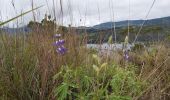 Randonnée Marche Quiroga - Laguna de Cuicocha - Photo 10