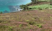 Tour Wandern Crozon - Cap de la Chèvre  - Photo 3