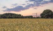 Tour Zu Fuß Niederanwen - J9 Sentier Biergerkräiz 10,5 km - Photo 5