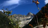 Tocht Te voet Trient - Sentier des Alpages - Photo 6