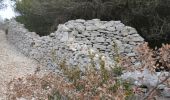 Excursión Senderismo Cabrières-d'Avignon - PF-Cabrières-d'Avignon - Le mur de la Peste - Photo 5