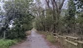 Tocht Stappen Argelès-sur-Mer - mas larrieux automnal rive elne - Photo 20