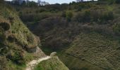 Excursión Senderismo Petit-Caux - St Martin en campagne Belleville sur mer  - Photo 10