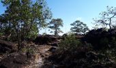 Trail Walking Unknown - Le chemin des Bouddhas  - Photo 1