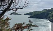 Trail Walking Tréveneuc - GR_34_CF_19_Treveneuc_Plouha_20240527 - Photo 4