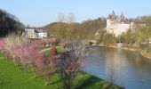 Tour Zu Fuß Durbuy - Chemin Touristique (20) - Photo 2