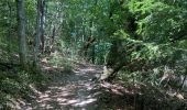 Tour Wandern Mayres-Savel - Randonnée des passerelles  - Photo 15