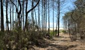 Excursión Bicicleta híbrida Vendays-Montalivet - Montalivet - Hourtin plage - Hourtin lac - Vendays - Photo 10