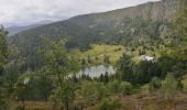 Tour Wandern Sulzern - Lac Vert - Lac Forlet Sity - Photo 1