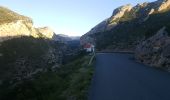 Percorso Trekking con gli asini Tuchan - cathare 3 Tuchan Duilhac sous peyrepertuse  - Photo 7