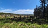 Trail Walking Waimes - Peak brune - Photo 17