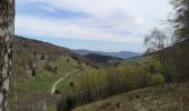 Trail Walking Masevaux-Niederbruck - Bruckenwald 2 - Photo 6