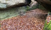 Tocht Noords wandelen Fontainebleau - Départ ma faisanderie  - Photo 1