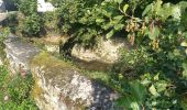 Trail Walking Rennemoulin - 2024-11-12-Rennemoulin-fontaine de Maltoute - Photo 4