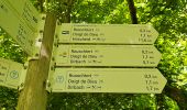 Tour Wandern Goesdorf - Goebelsmühle - Bourscheid - Dirbach - Photo 13
