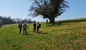 Trail Walking Levoncourt - Sortie les Copains d'abord.. 24/03/2022 - Photo 19