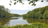 Tocht Stappen Le Perray-en-Yvelines - Le Perray en Yvelines à Cernay la Ville - Photo 12