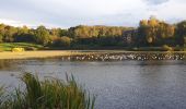 Tocht Stappen Ottignies-Louvain-la-Neuve - LLN, short one - Photo 1