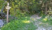 Trail Walking Fillière - Sous-Dines Par Le Monthieu 12-06-2021 - Photo 2