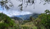 Tour Wandern La Possession - Réunion jour 1 - Photo 16