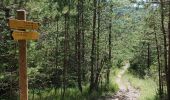 Tocht Stappen La Roche-des-Arnauds - Serigons - Rabou par petit Buëch  - Photo 11