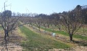 Randonnée Marche Châteauneuf-sur-Isère - le chemin des carriers à Châteauneuf-sur-Isère - Photo 15