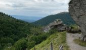 Trail Walking Ceyssat - Du Puy-de-Dôme au Pariou - Photo 6