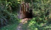 Trail Walking Roybon - Dionay - Photo 12