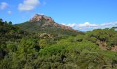 Trail Walking Roquebrune-sur-Argens - Roquebrune - Les Campons - Photo 12