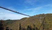 Trail Walking Mörsdorf - pont suspendu de Geierlay - Photo 7
