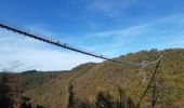 Tocht Stappen Mörsdorf - pont suspendu de Geierlay - Photo 7