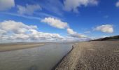 Excursión Senderismo Cayeux-sur-Mer - lac de caouaisse . brighton . pointe de hourdel . lac de caouzisse   - Photo 6