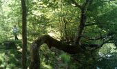 Tocht Stappen Poigny-la-Forêt - Poigny la forêt - Photo 4