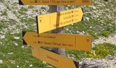 Trail Walking Enchastrayes - le chapeau de gendarme - Photo 7