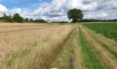 Trail Walking Jemeppe-sur-Sambre - autour de la roche qui tourne - Photo 2