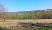 Trail Walking Liège - angleur gare . sart tilman via bois St Laurent.retour via bois St jean - Photo 3