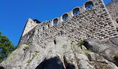 Excursión Senderismo Dambach-la-Ville - Dambach - châteaux du Bernstein, de l'Ortenbourg et du Ramstein - Photo 10