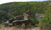 Trail Walking Mont Lozère et Goulet - Château de Tournel - Photo 12