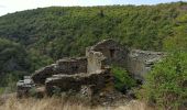 Randonnée Marche Mont Lozère et Goulet - Château de Tournel - Photo 12