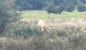 Randonnée Marche Recoules-d'Aubrac - Recouverte - Photo 3