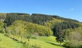 Randonnée Marche Sevelinges - Sévelinges : Le bois Grandjean - Photo 12
