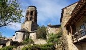 Tour Wandern Lavaudieu - Lavaudieu  - Photo 1