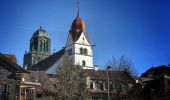 Percorso A piedi Willisau - Wilisau Schlossfeld - Mörisegg - Photo 8