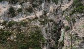 Randonnée Marche Cortina d'Ampezzo - cascades de Fanes - Photo 4